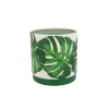 Pl Zaparzacz 400Ml Monstera