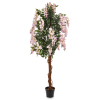 Drzewko Dekoracyjne Wisteria