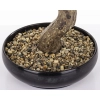 Sztuczne Drzewko Bonsai