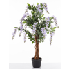 Drzewko Dekoracyjne Wisteria