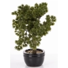 Sztuczne Drzewko Bonsai