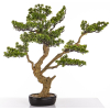 Sztuczne Drzewko Bonsai