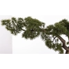 Sztuczne Drzewko Bonsai