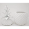 Pojemnik Ananas