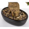 Sztuczne Drzewko Bonsai