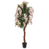 Drzewko Dekoracyjne Wisteria