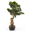 Sztuczne Drzewko Bonsai