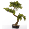 Sztuczne Drzewko Bonsai