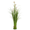 Roslina Dekoracyjna Led
