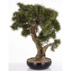 Sztuczne Drzewko Bonsai
