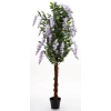 Drzewko Dekoracyjne Wisteria