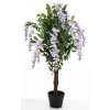 Drzewko Dekoracyjne Wisteria