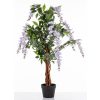 Drzewko Dekoracyjne Wisteria