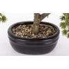 Sztuczne Drzewko Bonsai
