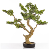 Sztuczne Drzewko Bonsai