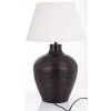 Lampa Iicz