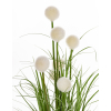 Roslina Dekoracyjna Led