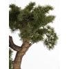 Sztuczne Drzewko Bonsai