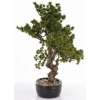 Sztuczne Drzewko Bonsai