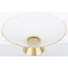 Patera