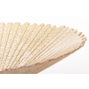 Patera