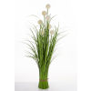 Roslina Dekoracyjna Led
