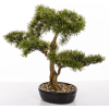 Sztuczne Drzewko Bonsai