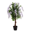 Drzewko Dekoracyjne Wisteria