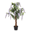 Drzewko Dekoracyjne Wisteria