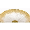 Patera