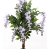 Drzewko Dekoracyjne Wisteria