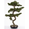 Sztuczne Drzewko Bonsai