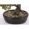 Sztuczne Drzewko Bonsai