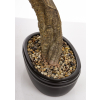Sztuczne Drzewko Bonsai