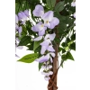 Drzewko Dekoracyjne Wisteria