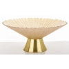Patera