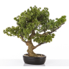 Sztuczne Drzewko Bonsai