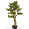 Sztuczne Drzewko Bonsai
