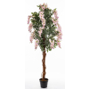 Drzewko Dekoracyjne Wisteria