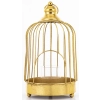 Lampion