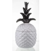 Pojemnik Ananas