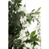 Drzewko Dekoracyjne Wisteria