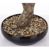 Sztuczne Drzewko Bonsai