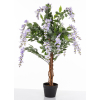 Drzewko Dekoracyjne Wisteria