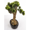 Sztuczne Drzewko Bonsai
