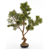 Sztuczne Drzewko Bonsai 4Cz.
