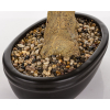 Sztuczne Drzewko Bonsai