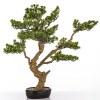 Sztuczne Drzewko Bonsai