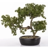 Sztuczne Drzewko Bonsai