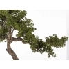 Sztuczne Drzewko Bonsai